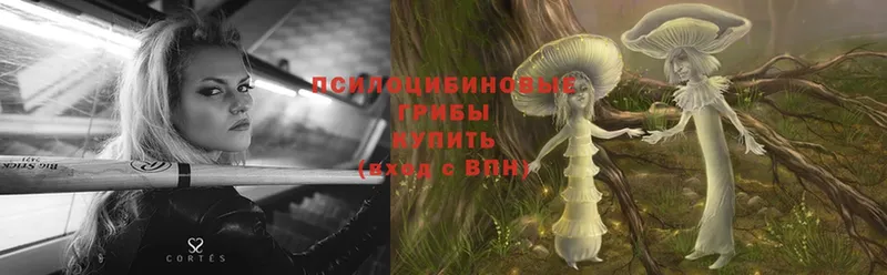 Псилоцибиновые грибы Magic Shrooms  где можно купить наркотик  Валуйки 